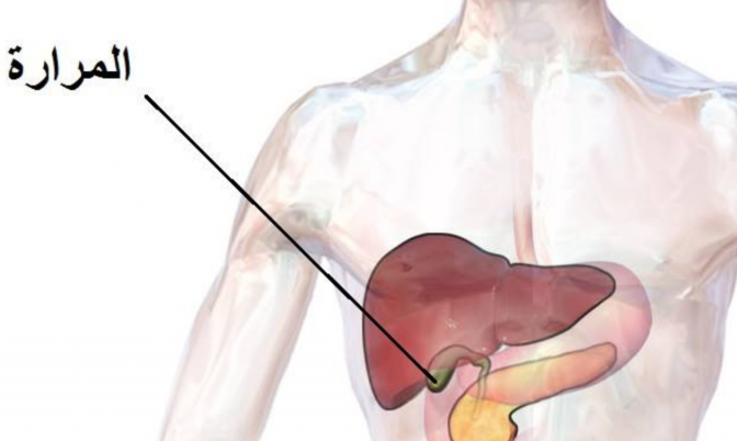 علامات الحجر أو الحصى في المرارة « ضروري تعرفوها »