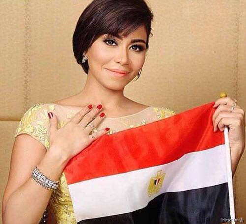 فنانون يدعمون شيرين و آخرون يرسلون لها الشتائم