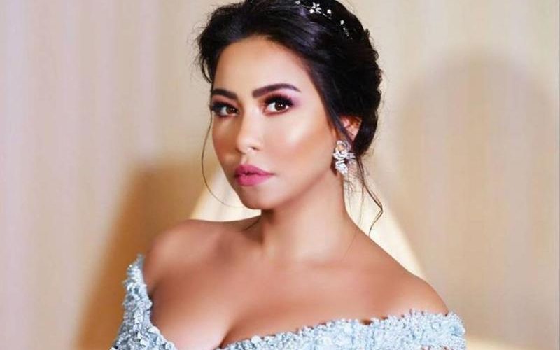 الفنانة شيرين عبد الوهاب تدخل السجن بتهمة الإساءة لمصر
