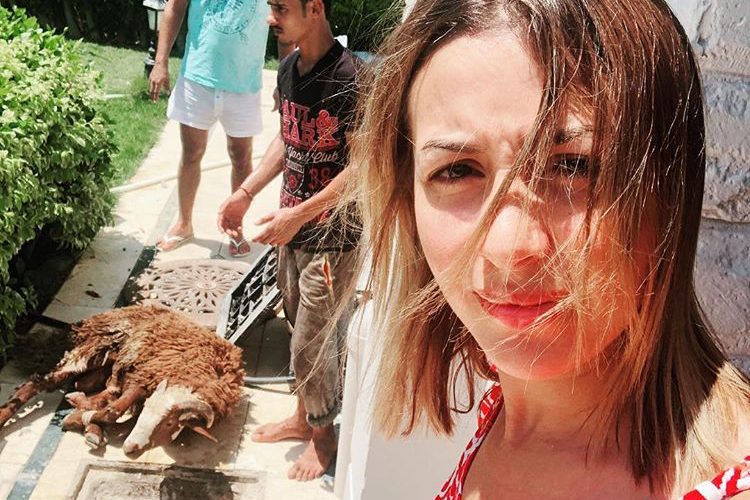 بالصور.. هكذا احتفلت جنات مهيد بعيد الأضحى في مصر