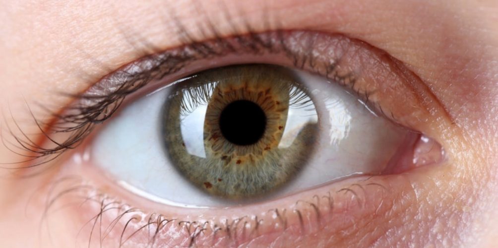 دراسة.. اكتشاف مادة في قطرات العين تعالج سرطان الدم!