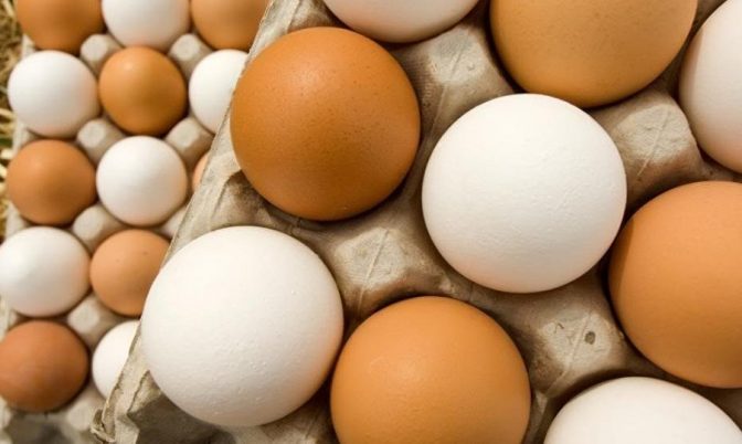 سنة 2018 .. كل مغربي استهلك 185 بيضة