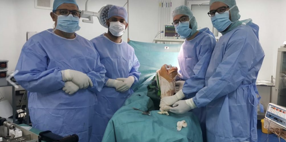 ميدلت.. فريق طبي ينجح في استبدال مفصل وركبة لسيدتين