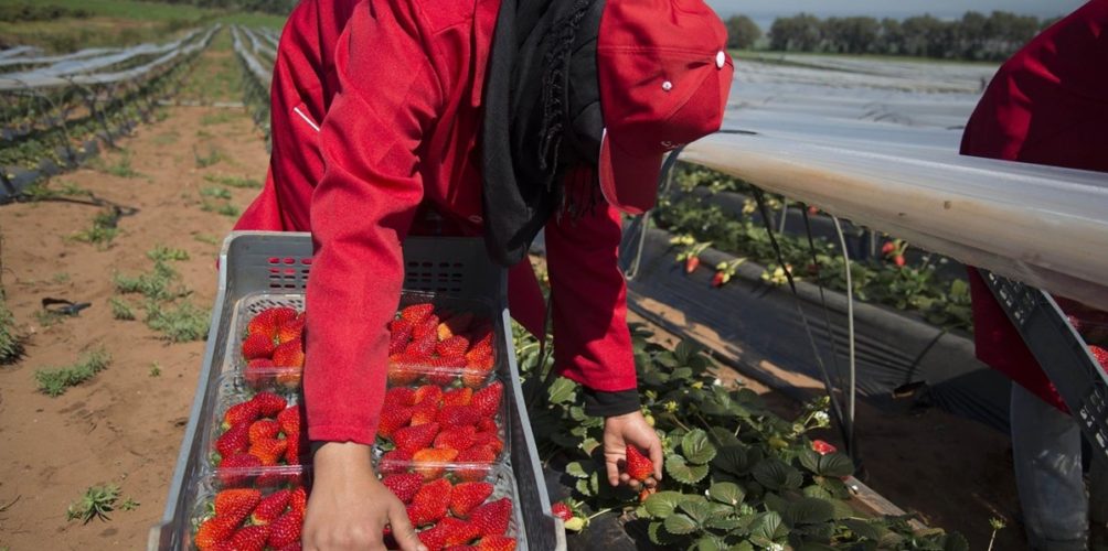 حصيلة يومية مرتفعة.. تسجيل 539 إصابة جديدة بكورونا في أقل من 24 ساعة
