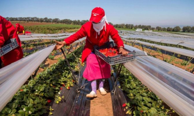 بأزيد من 400 إصابة.. بؤرة لالة ميمونة وراء ارتفاع الحصيلة اليومية لكورونا في المغرب