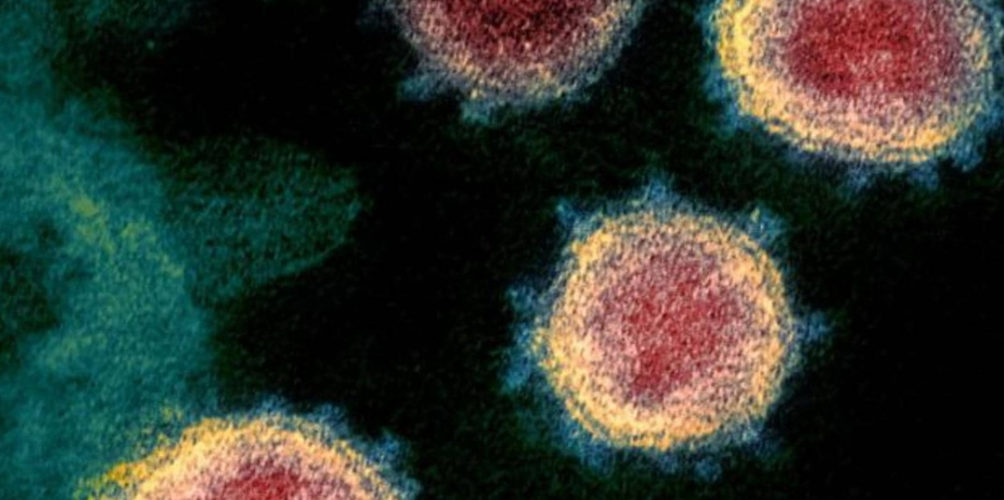 ينتشر بسرعة أكبر وأقل عدوانية.. فيروس كورونا &laquo;&nbsp;الجديد&nbsp;&raquo; يثير القلق