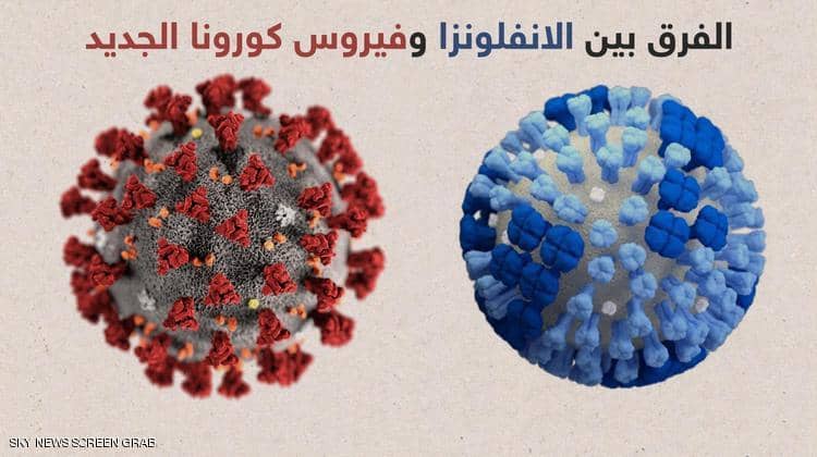 الفرق بين فيروس الإنفلونزا وفيروس كورونا.. أخصائي يوضح (فيديو)
