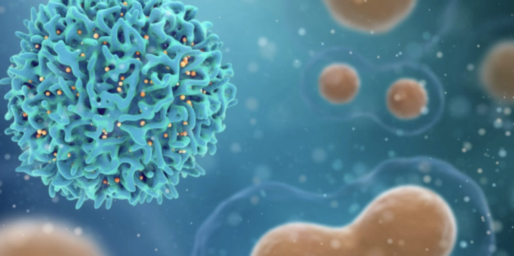 دراسة مربكة: الأجسام المضادة لـ&nbsp;&raquo;كوفيد-19&Prime; لدى بعض المتعافين تهاجم الجسم بدل الفيروس