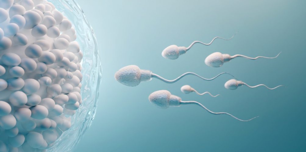 عالمة في مجال الأوبئة: انخفاض عدد الحيوانات المنوية والتغيرات في التطور الجنسي يهددان البشرية