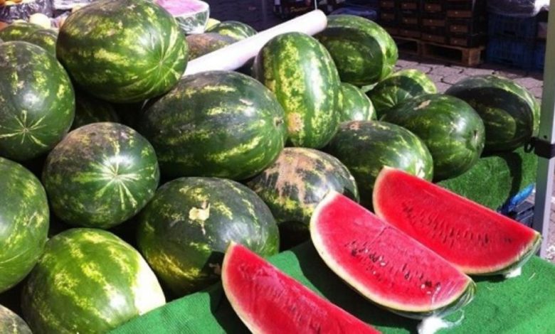 في موسمه.. معلومات مهمة عن منافع الدلاح والوقت المناسب لتناوله