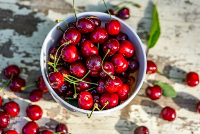 بينها منع نمو الأورام السرطانية.. فوائد صحية متعددة لتناول الكرز!