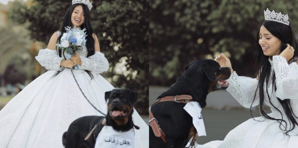 أقامت حفل زفاف مع كلبها.. انتقادات لاذعة تطال مؤثرة مصرية شهيرة