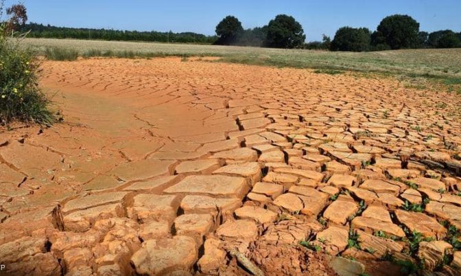 بسبب الجفاف.. علماء يحذرون من نقص في القهوة والسكر