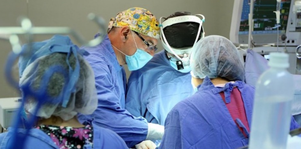 تعتبر الأولى من نوعها.. زرع كلية خنزير في جسم امرأة