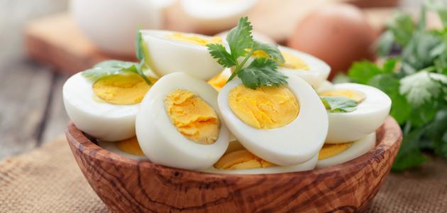 الغذاء المثالي.. خبراء يكشفون فوائد البيض ومكوناته