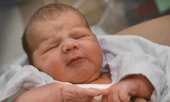 الذكور أقل عدوانية من الإناث.. دراسة تكشف تأثير مادة كيميائية تنبعث من أطفال حديثي الولادة