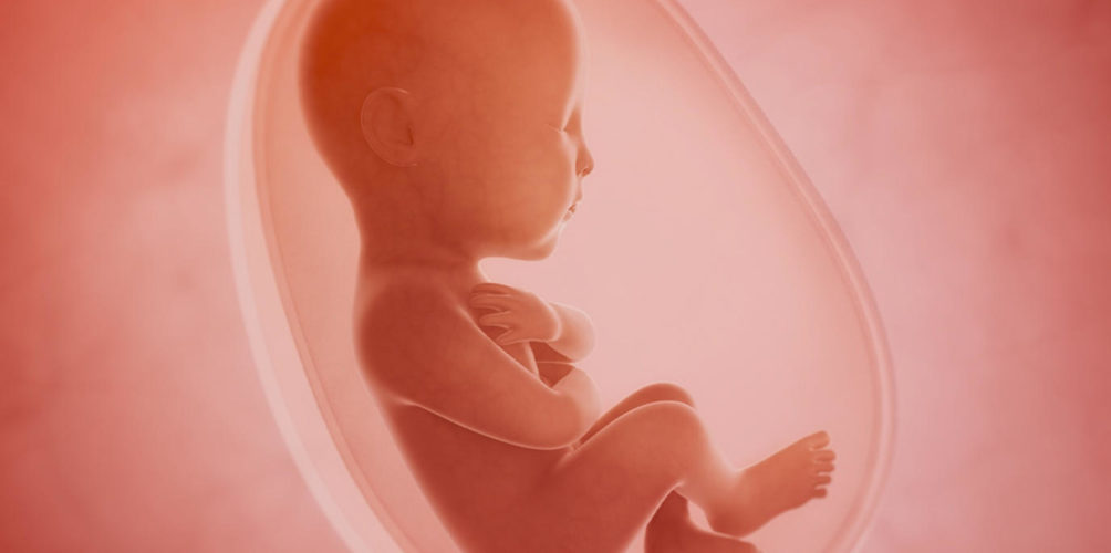 خطورة تعرض الجنين للاختناق قبل الولادة.. الدكتور لمسفر يشرح الأسباب والطرق الوقائية (فيديو)
