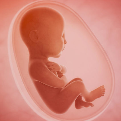 خطورة تعرض الجنين للاختناق قبل الولادة.. الدكتور لمسفر يشرح الأسباب والطرق الوقائية (فيديو)