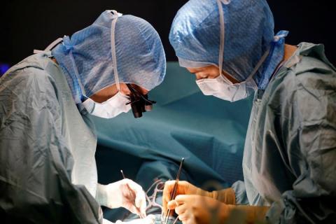 أول عملية من نوعها.. أطباء ينجحون بزراعة قلب خنزير في جسم إنسان