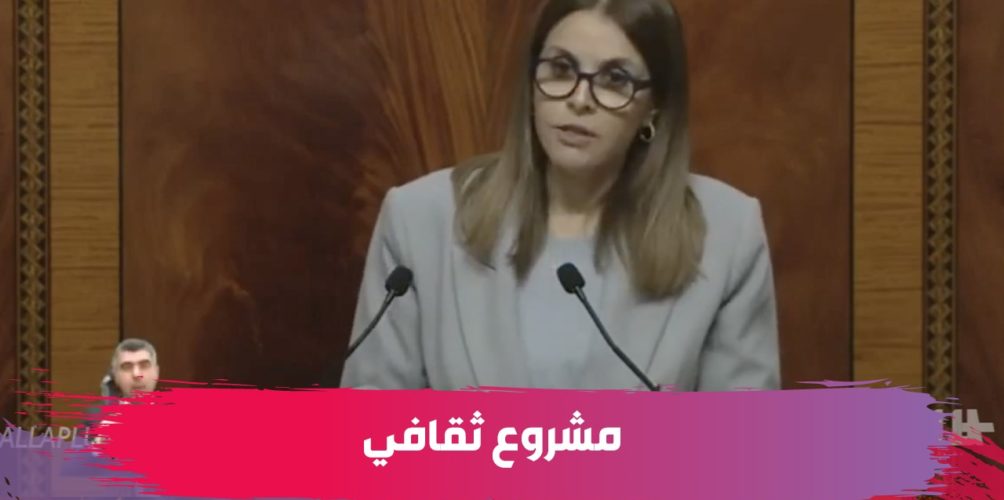 فاطمة خير: الحكومة مطالبة بمشروع ثقافي منسجم… وجا الوقت باش نتكلمو على الصناعة الثقافية (فيديو)