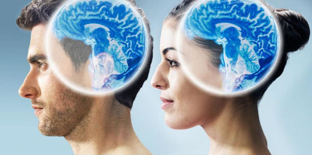 نتيجة الدورة الشهرية.. أدمغة النساء أكثر حرارة من الرجال